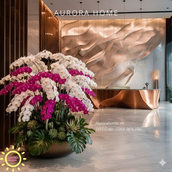 chau-hoa-lan-ho-diep-cao-cap