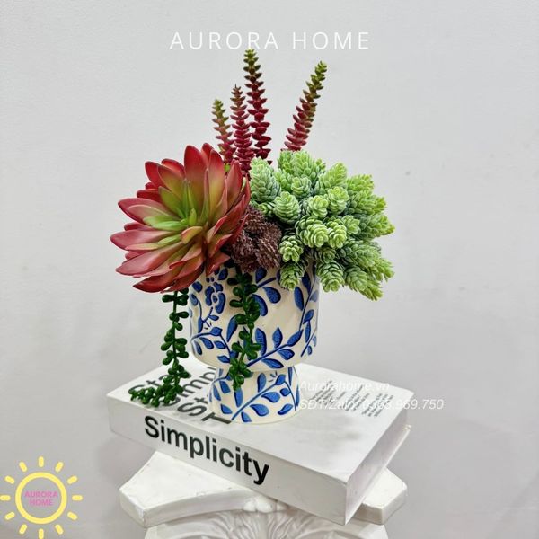 bình hoa sen đá đẹp