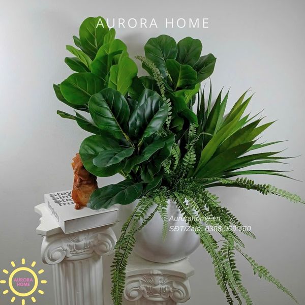 chau-cay-gia-trang-tri