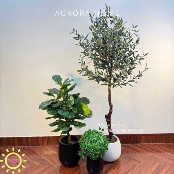 cay-gia-trang-tri-dep