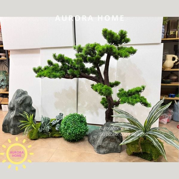 tieu-canh-cay-tung-bonsai