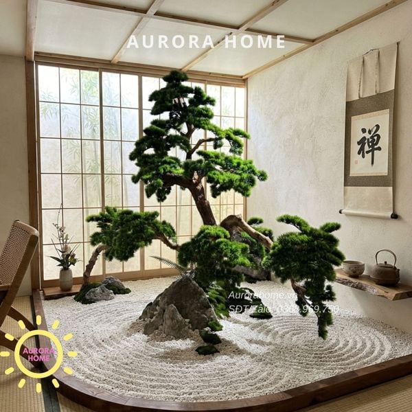 cay-tung-bonsai-gia