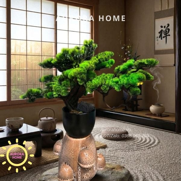 cay-tung-bonsai-cao-cap