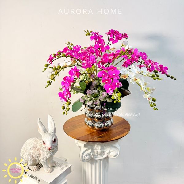 chau-hoa-lan-ho-diep-cao-cap