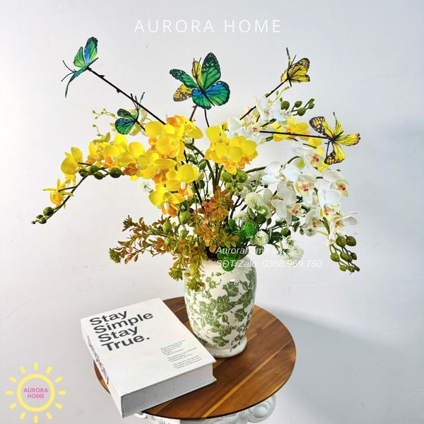 chau-lan-tieu-ho-diep-cao-cap