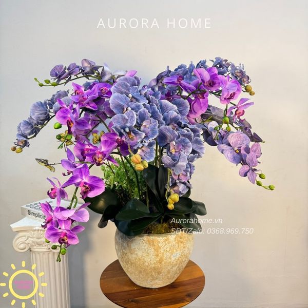 chau-hoa-lan-ho-diep-cao-cap