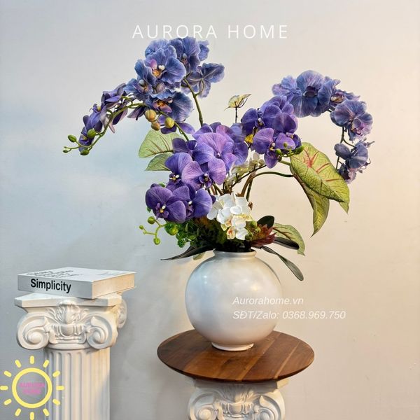 chau-hoa-lan-ho-diep-cao-cap