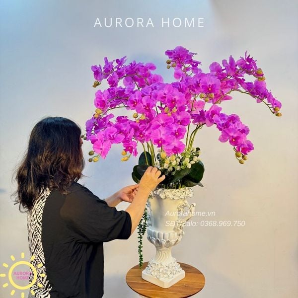 chau-hoa-lan-ho-diep-cao-cap