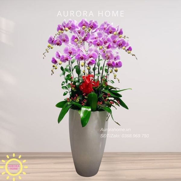 chau-hoa-lan-ho-diep-cao-cap