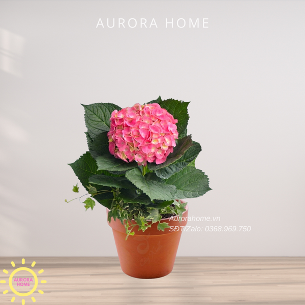 gio-hoa-tuoi-qua-tang