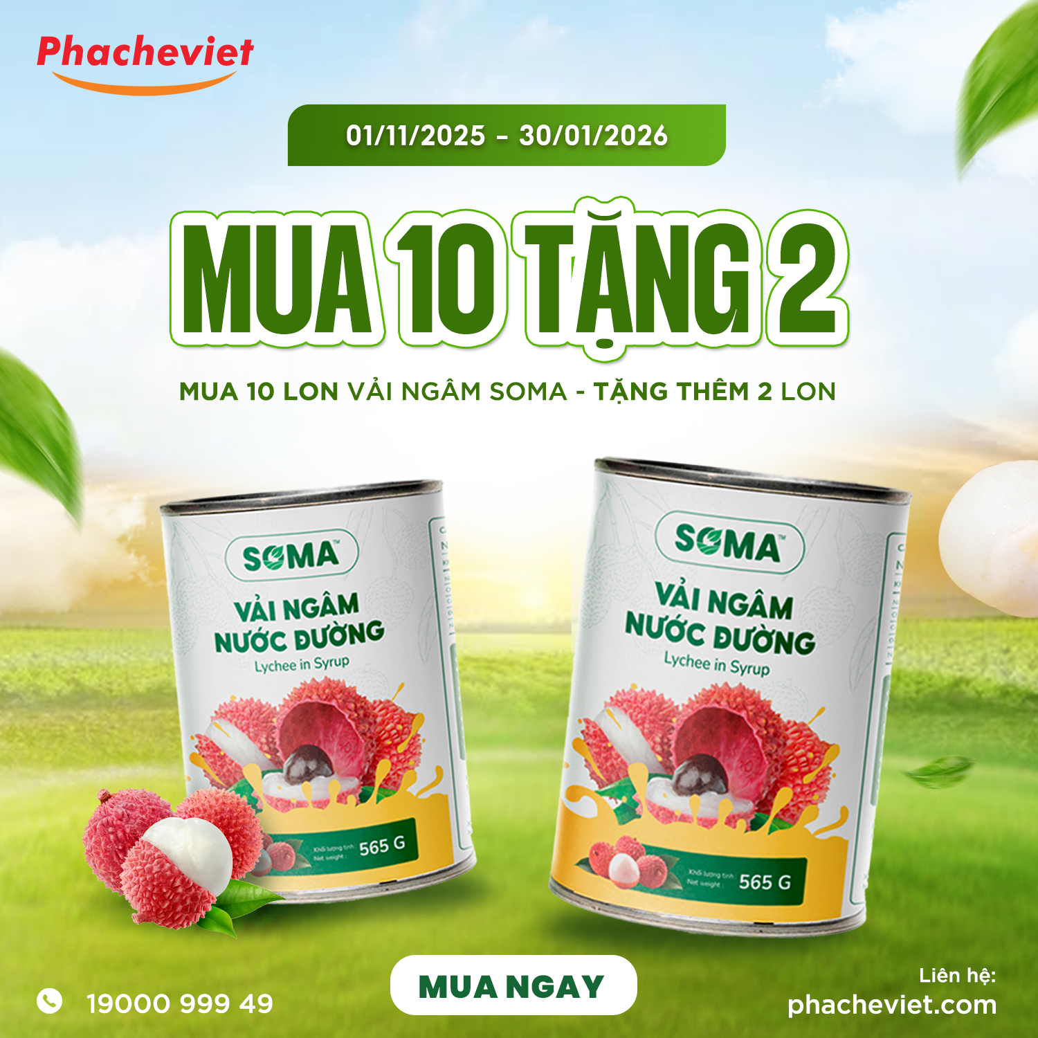 Mua 10 lon vải ngâm SOMA / HOÀNG GIA, tặng ngay 2 lon!