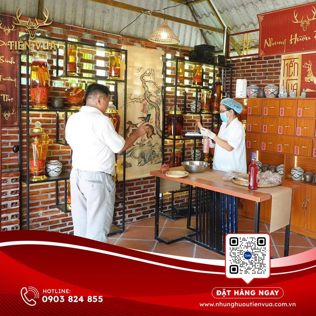 NHUNG HƯƠU VỊ THUỐC HỒI XUÂN