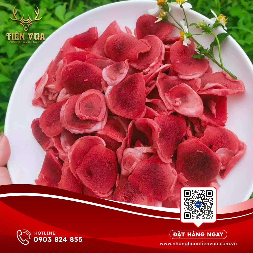 CÔNG DỤNG NHUNG HƯƠU CHO NGƯỜI CAO TUỔI
