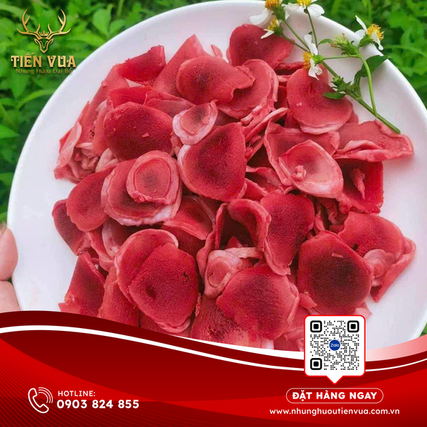 CÔNG DỤNG NHUNG HƯƠU CHO NGƯỜI CAO TUỔI