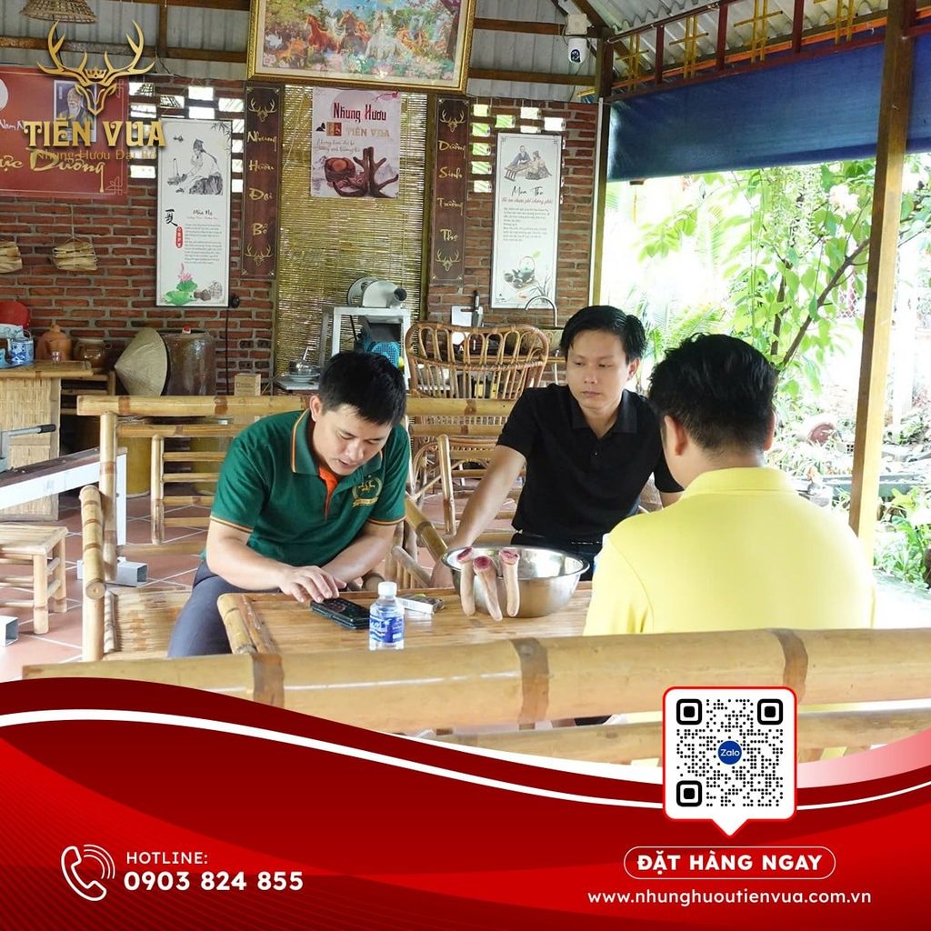 NHUNG HƯƠU TĂNG CƯỜNG SỨC KHOẺ TÌNH DỤC