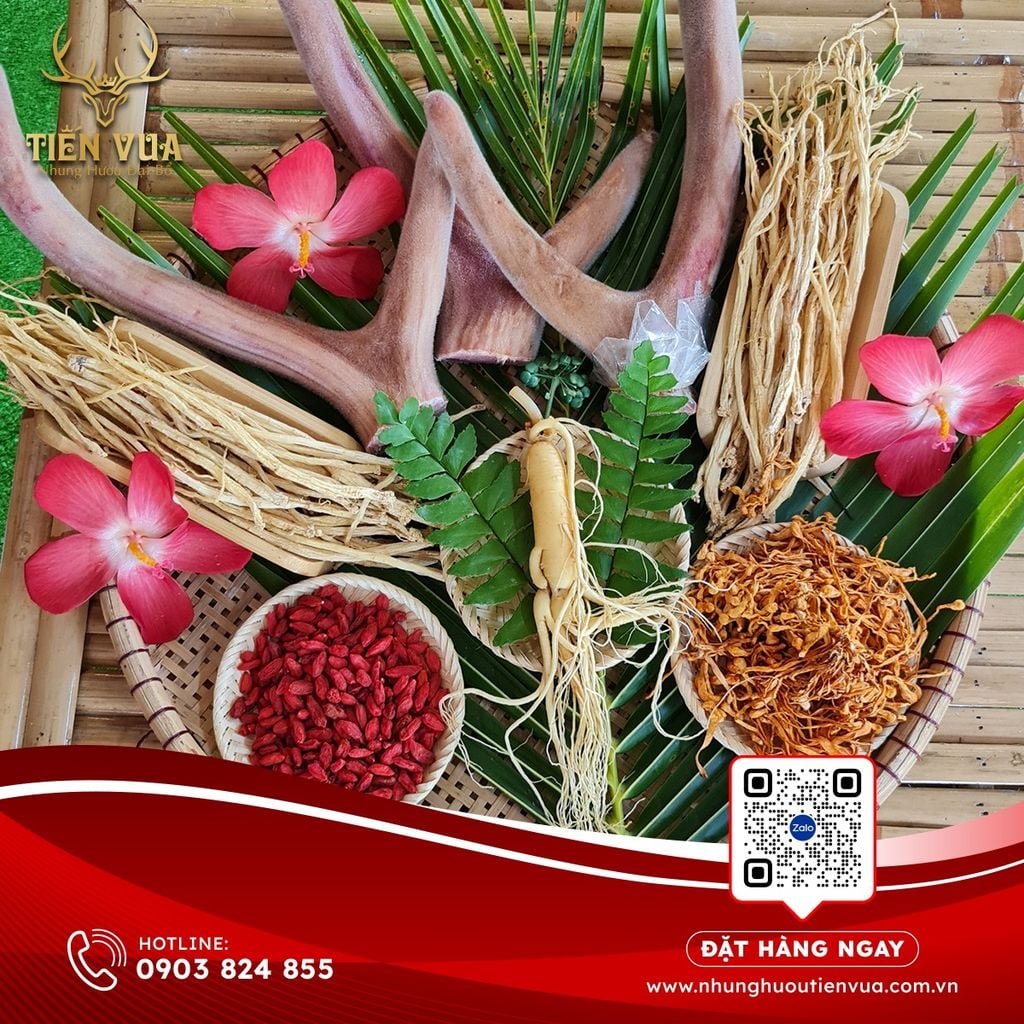 CÔNG DỤNG NHUNG HƯƠU DÀNH CHO PHỤ NỮ
