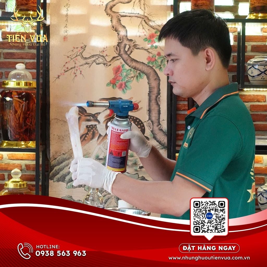 NHUNG HƯƠU CHỮA ĐAU ĐẦU CHÓNG MẶT