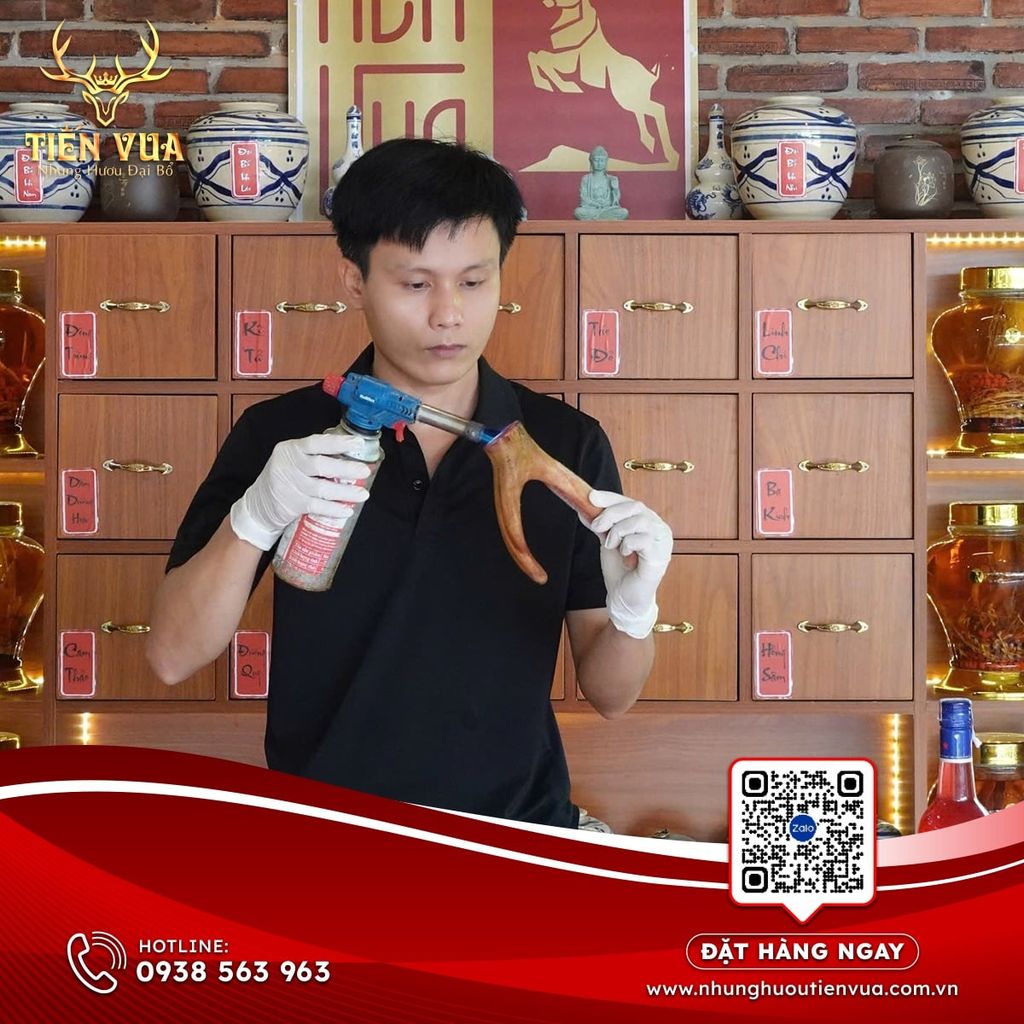 CÔNG DỤNG NHUNG HƯƠU DÀNH CHO NAM GIỚI