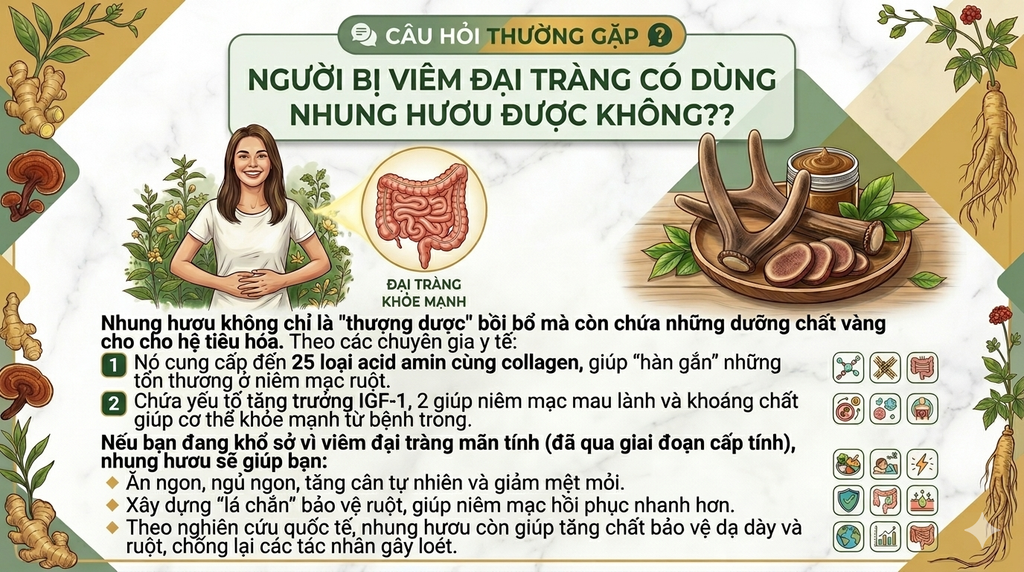 CÂU HỎI THƯỜNG GẶP: NGƯỜI BỊ VIÊM ĐẠI TRÀNG CÓ DÙNG NHUNG HƯƠU ĐƯỢC KHÔNG❓❓