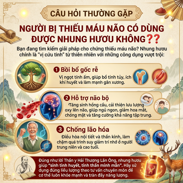 CÂU HỎI THƯỜNG GẶP: NGƯỜI BỊ THIẾU MÁU NÃO CÓ DÙNG ĐƯỢC NHUNG HƯƠU KHÔNG❓❓