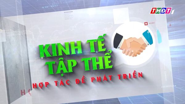 [THĐT] HƯƠU GIỐNG MIỀN TÂY - HƯỚNG ĐI MỚI CỦA KINH TẾ TẬP THỂ