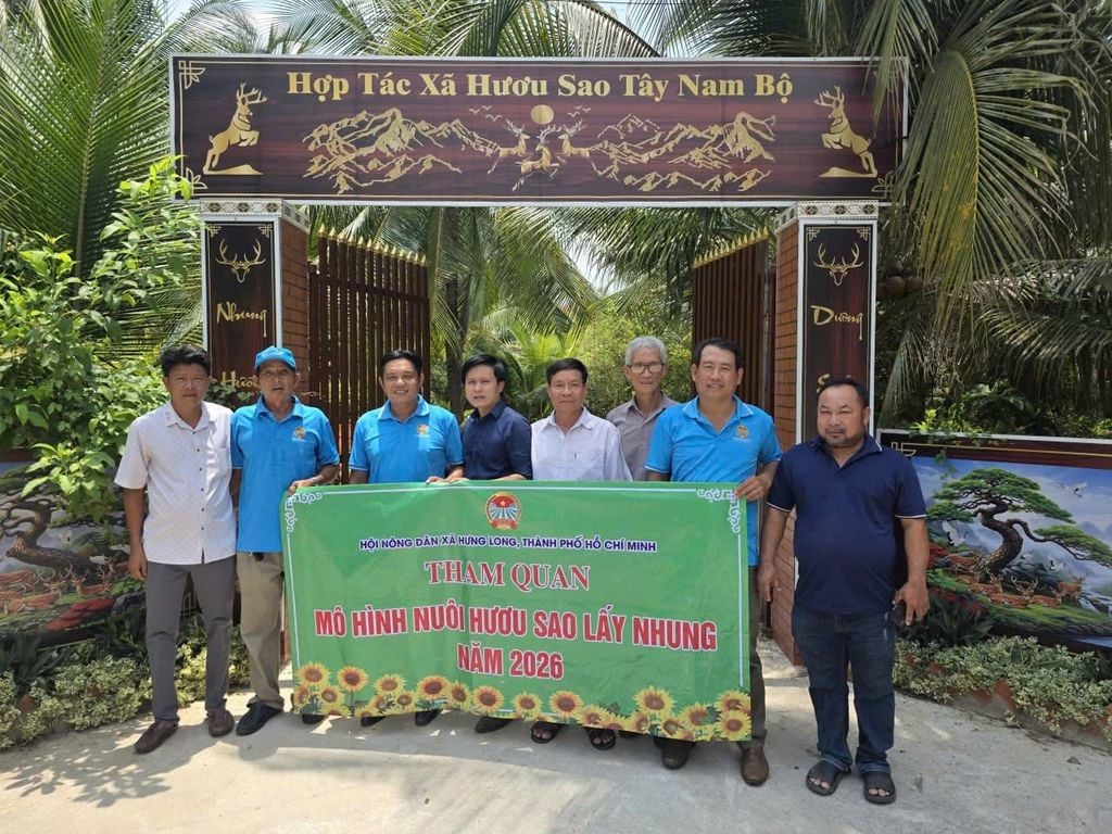 HỘI NÔNG DÂN XÃ HƯNG LONG TỔ CHỨC THAM QUAN, HỌC TẬP MÔ HÌNH NUÔI HƯƠU SAO LẤY NHUNG TẠI HTX HƯƠU SAO TÂY NAM BỘ