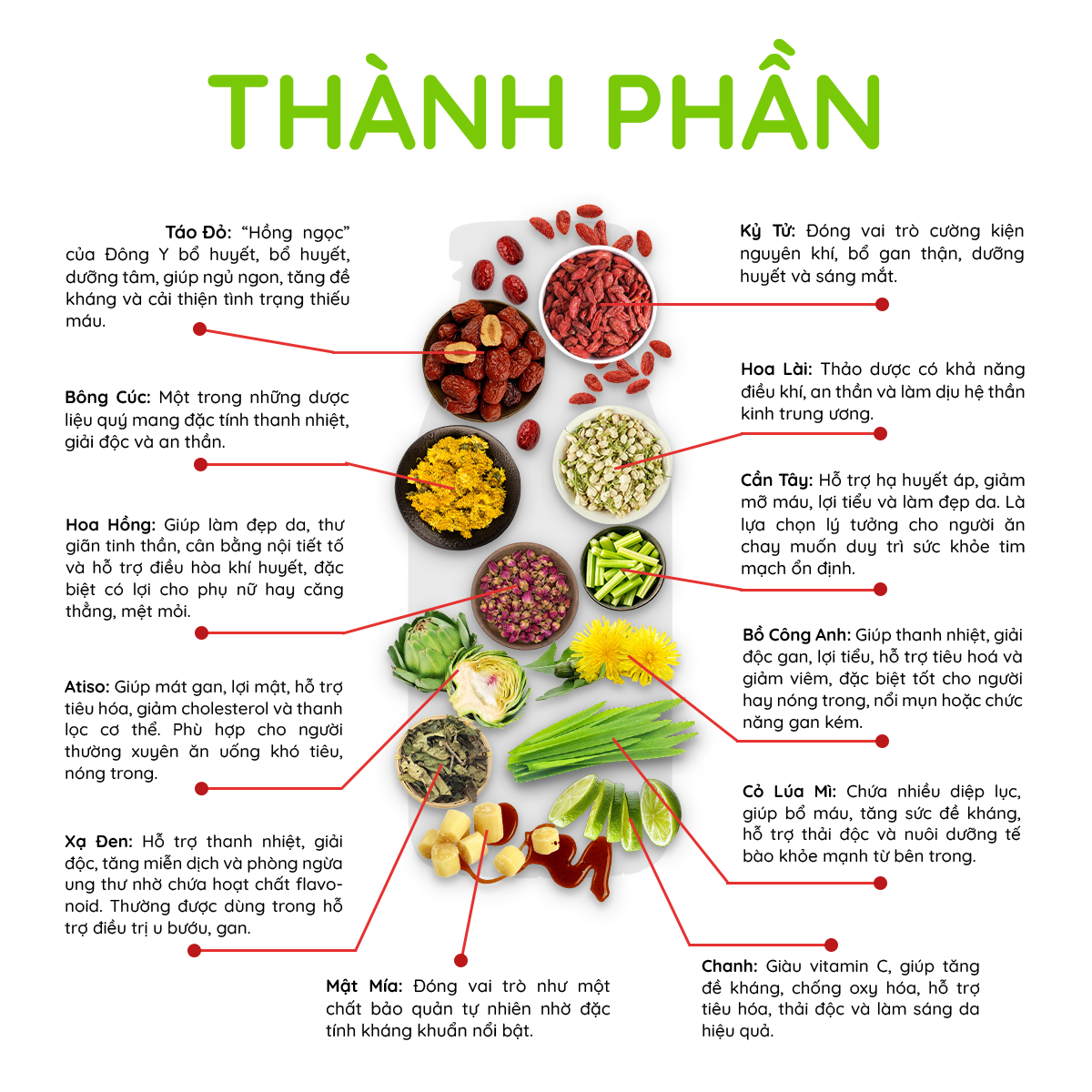 Mật Táo Đỏ Tâm An Bồ Công Anh