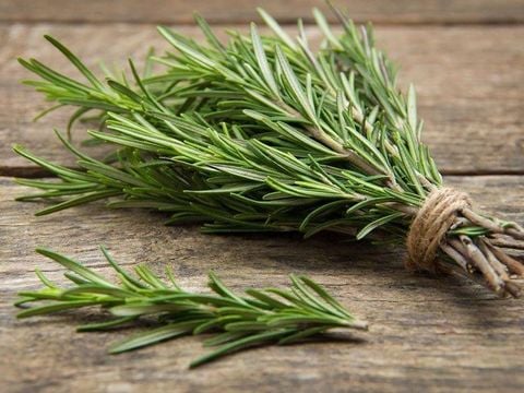 Cây hương thảo có tác dụng gì? Công dụng bảo vệ gan và sức khỏe toàn diện