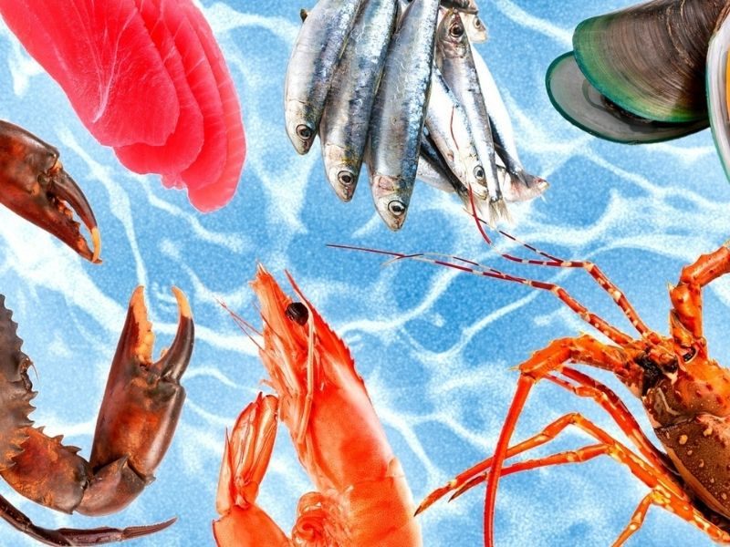 Hình ảnh các loại hải sản giàu protein và khoáng chất tốt cho não bộ