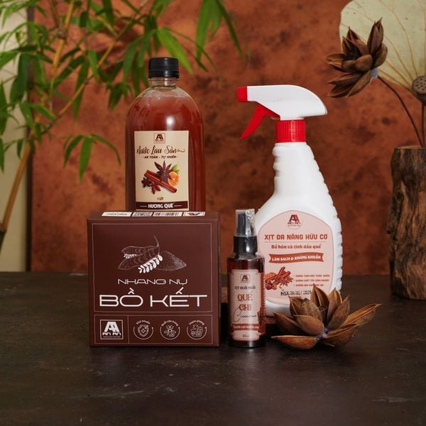 Combo xông nhà đuổi muỗi mùa nồm ẩm: sạch thoáng, giảm bí bách và hạn chế ẩm mốc (An An)