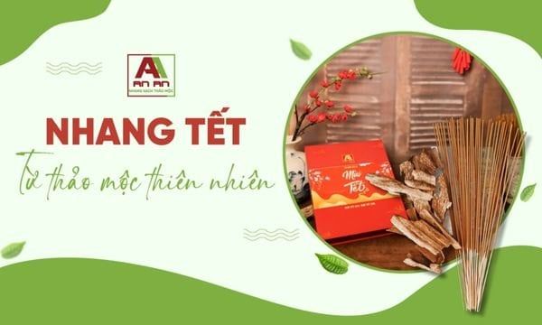 Nhang trầm hương: Mẹo chọn đúng – Trải nghiệm hương Trầm Tết chuẩn