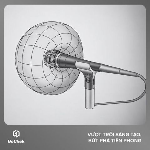 Tính định hướng của micro và cách chọn đúng nhu cầu
