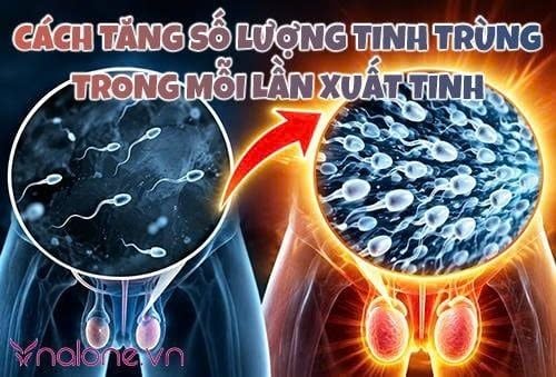 Cách tăng số lượng tinh trùng trong mỗi lần xuất tinh hiệu quả
