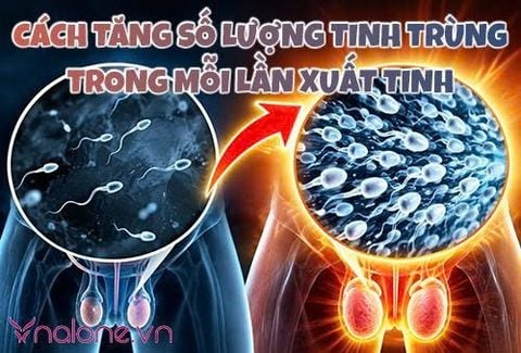 Cách tăng số lượng tinh trùng trong mỗi lần xuất tinh hiệu quả
