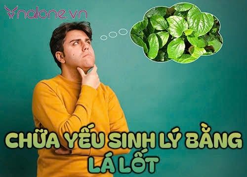 Chữa yếu sinh lý bằng lá lốt: Gợi ý 5 cách dùng hiệu quả