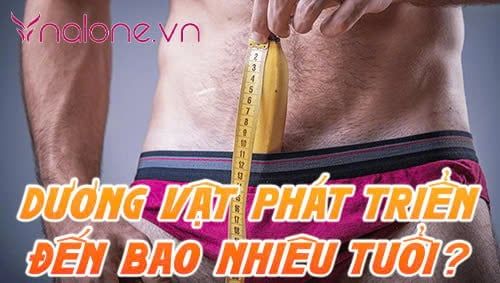 Giải đáp: Dương vật phát triển đến bao nhiêu tuổi thì ngừng?