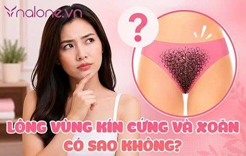 Lông vùng kín cứng và xoăn có sao không? Cách chăm sóc đúng cách