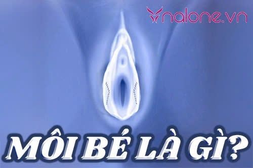 Môi bé là gì? Cấu tạo, vai trò và cách chăm sóc môi bé