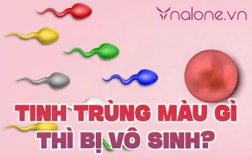 Tinh trùng màu gì thì bị vô sinh? Dấu hiệu không nên bỏ qua