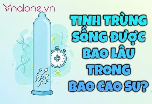 Tinh trùng sống được bao lâu trong bao cao su và không khí?