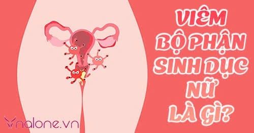 Viêm bộ phận sinh dục nữ là gì? Triệu chứng và cách điều trị