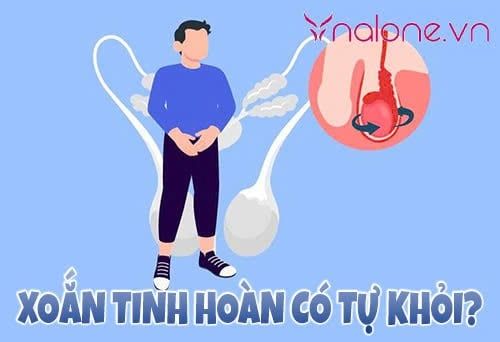 Xoắn tinh hoàn có tự khỏi không? Triệu chứng và cách xử lý