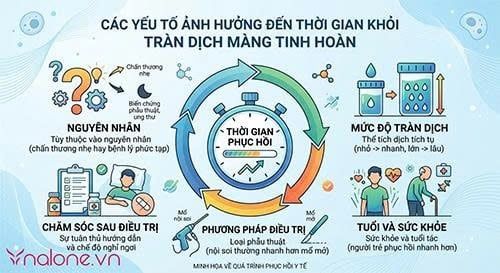 Nam giới bị tràn dịch màng tinh hoàn bao lâu thì khỏi?