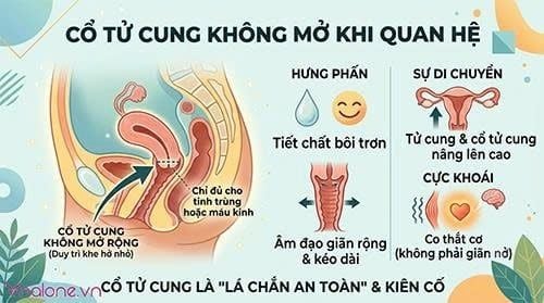 Khi quan hệ cổ tử cung có mở không?