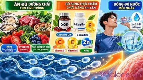 Cách tăng số lượng tinh trùng trong mỗi lần xuất tinh