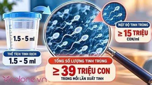 Cách tăng số lượng tinh trùng trong mỗi lần xuất tinh