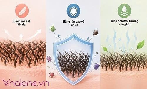 Lông vùng kín cứng và xoăn có sao không?