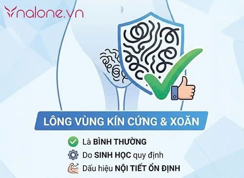 Lông vùng kín cứng và xoăn có sao không?