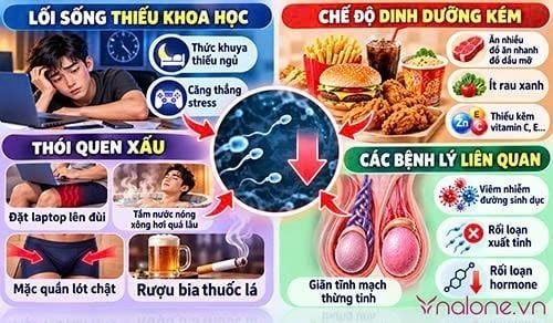 Cách tăng số lượng tinh trùng trong mỗi lần xuất tinh