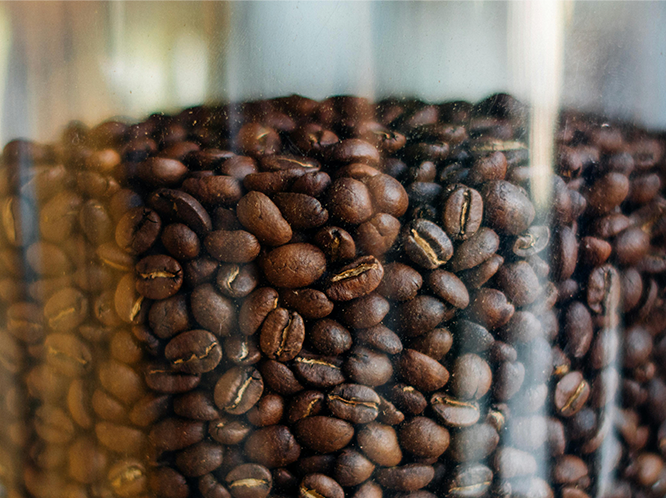 Nước hoa Dark Roast - 50ml